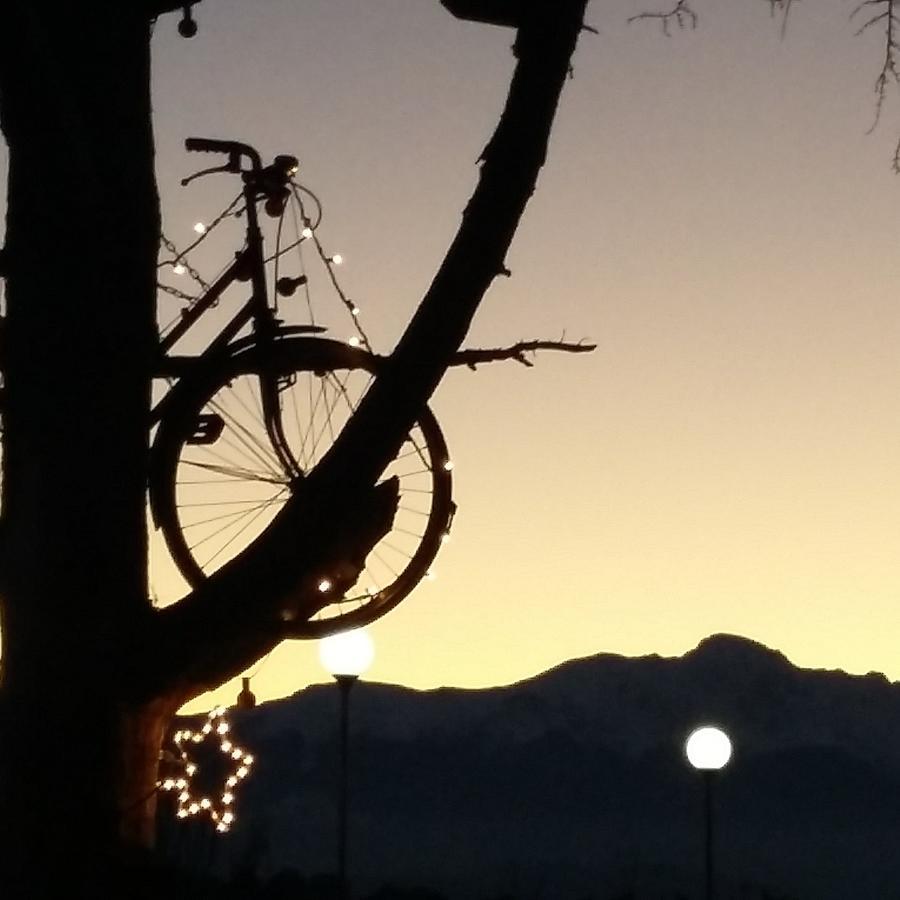 Alojamento de Acomodação e Pequeno-almoço L'albero Di Antonia